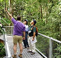 Daintree Discovery Centre - Australian Destinations