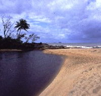 Russell River National Park - Australian Destinations