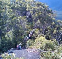 Mia Mia State Forest - Australian Destinations