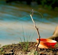 Charleville - Mangalore Warrego River Fishing Spot - Australian Destinations