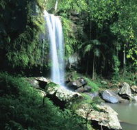 Curtis Falls Joalah Section - Australian Destinations
