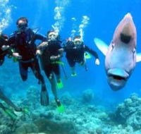 Gotham City Dive Site - Australian Destinations