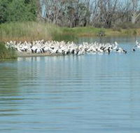Lake Ross - Australian Destinations