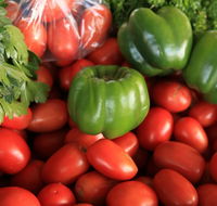Burleigh Heads Markets - Australian Destinations