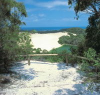 Lake Wabby Track - Australian Destinations