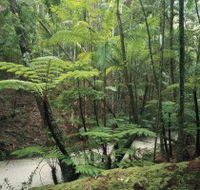 Fraser Island Great Walk - Australian Destinations