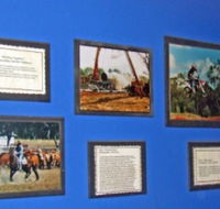 Town Hall Photographic Display - Australian Destinations