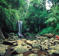 Tamborine National Park - Australian Destinations