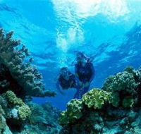 Coral Gardens Dive Site - Australian Destinations