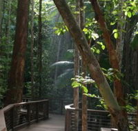 Basin Lake Track - Australian Destinations