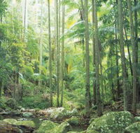 Python Rock - Australian Destinations
