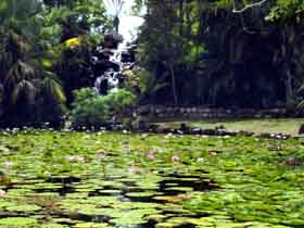 Queens Park Waterfall - Australian Destinations 0