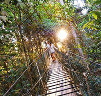 Tree Top Walkway - Australian Destinations