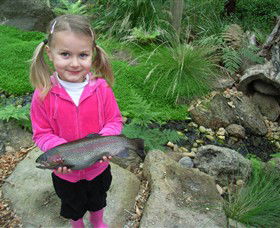 Rhyll VIC Australian Destinations