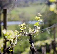 Downing Estate - Australian Destinations