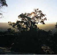 Yarra Flats - Australian Destinations