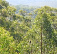 Bunyip State Park - Australian Destinations