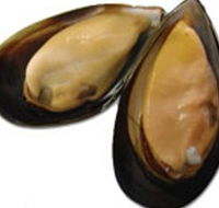 Sea Bounty - Australian Destinations