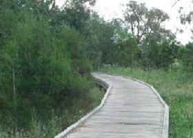 Shepherds Bush - Australian Destinations 0