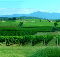 Acacia Ridge Vineyard - Australian Destinations