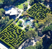 Ashcombe Maze  Lavender Gardens - Australian Destinations