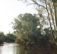 Banksia Park - Australian Destinations