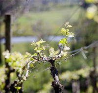 Kyneton Ridge Estate - Australian Destinations