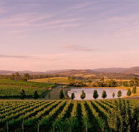 Oakridge Wines - Australian Destinations
