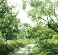 Holey Plains State Park - Australian Destinations