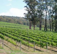 Piedmont Vineyard - Australian Destinations