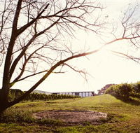 Scotchmans Hill - Australian Destinations