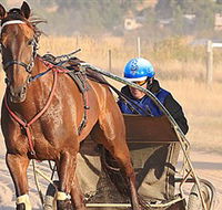 Ballarat  District Trotting Club - Australian Destinations