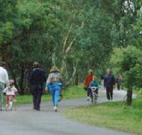 Birrarrung Park - Australian Destinations