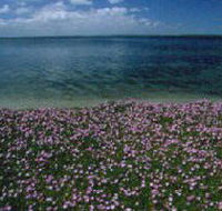The Lakes National Park - Australian Destinations