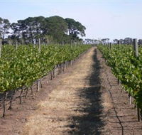 Mount Beckworth Wines - Australian Destinations