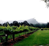 Cambewarra Estate Wines - Australian Destinations