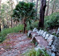 Wodi Wodi Walking Track - Australian Destinations