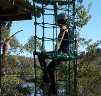 Trees Adventure Shoalhaven - Australian Destinations