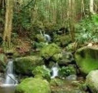 Budderoo National Park - Australian Destinations