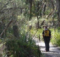 Barren Grounds Nature Reserve - Australian Destinations