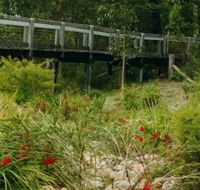 Eurobodalla Botanic Gardens - Australian Destinations
