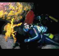 Solitary Islands Marine Park - Australian Destinations
