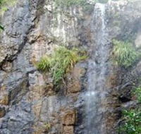 Wedding Bells Forest Drive - Australian Destinations