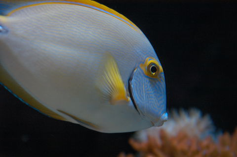 Solitary Islands Aquarium - Australian Destinations 3