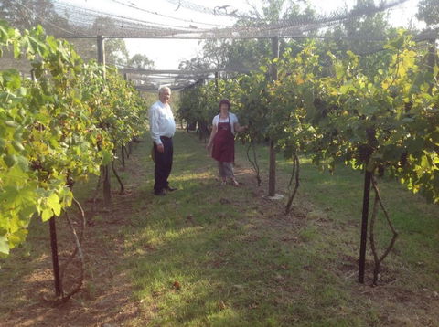 Holland Wines - Australian Destinations 8