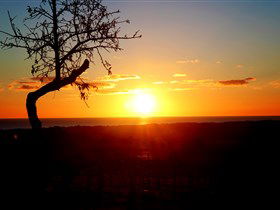Rocky Ridge Vineyard And Cellar Door - Australian Destinations 0