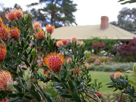 Lavina Wines - Australian Destinations 3