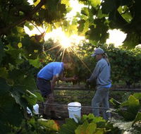 Oakdene Vineyards Restaurant and Cellar Door