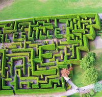 Hedgend Maze and Healesville Laser Sport - Australian Destinations