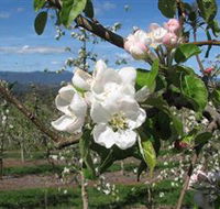Mouat's Farm - Australian Destinations